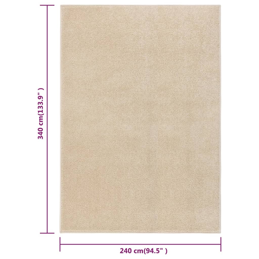 Teppich Kurzflor 240x340 cm Beige