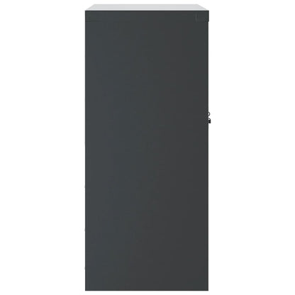 Filing cabinet anthracite 79x40x90 cm steel