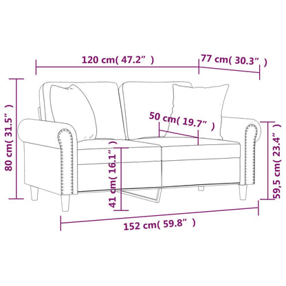 2-Sitzer-Sofa mit Zierkissen Hellgrau 120 cm Samt