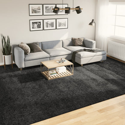 Teppich Shaggy Hochflor Modern Anthrazit 300x400 cm