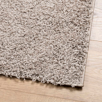 Teppich Shaggy Hochflor Modern Beige 300x400 cm