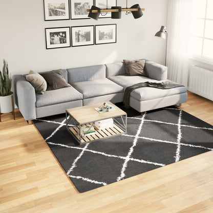 Teppich Shaggy Hochflor Modern Schwarz und Creme 240x240 cm